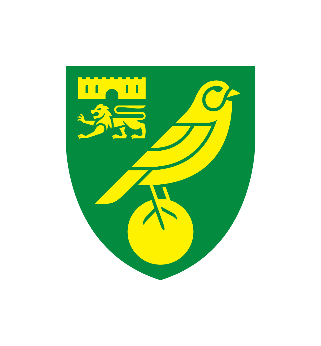 Norwick City FC 2024