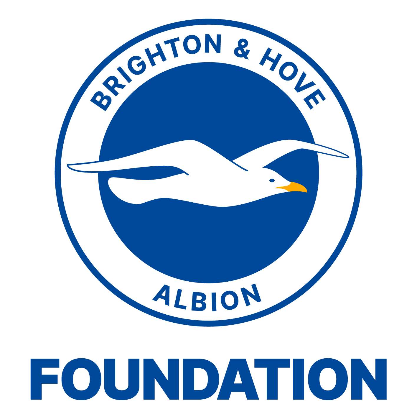 BRIGHTON & HOVE ALBION FOUNDATION