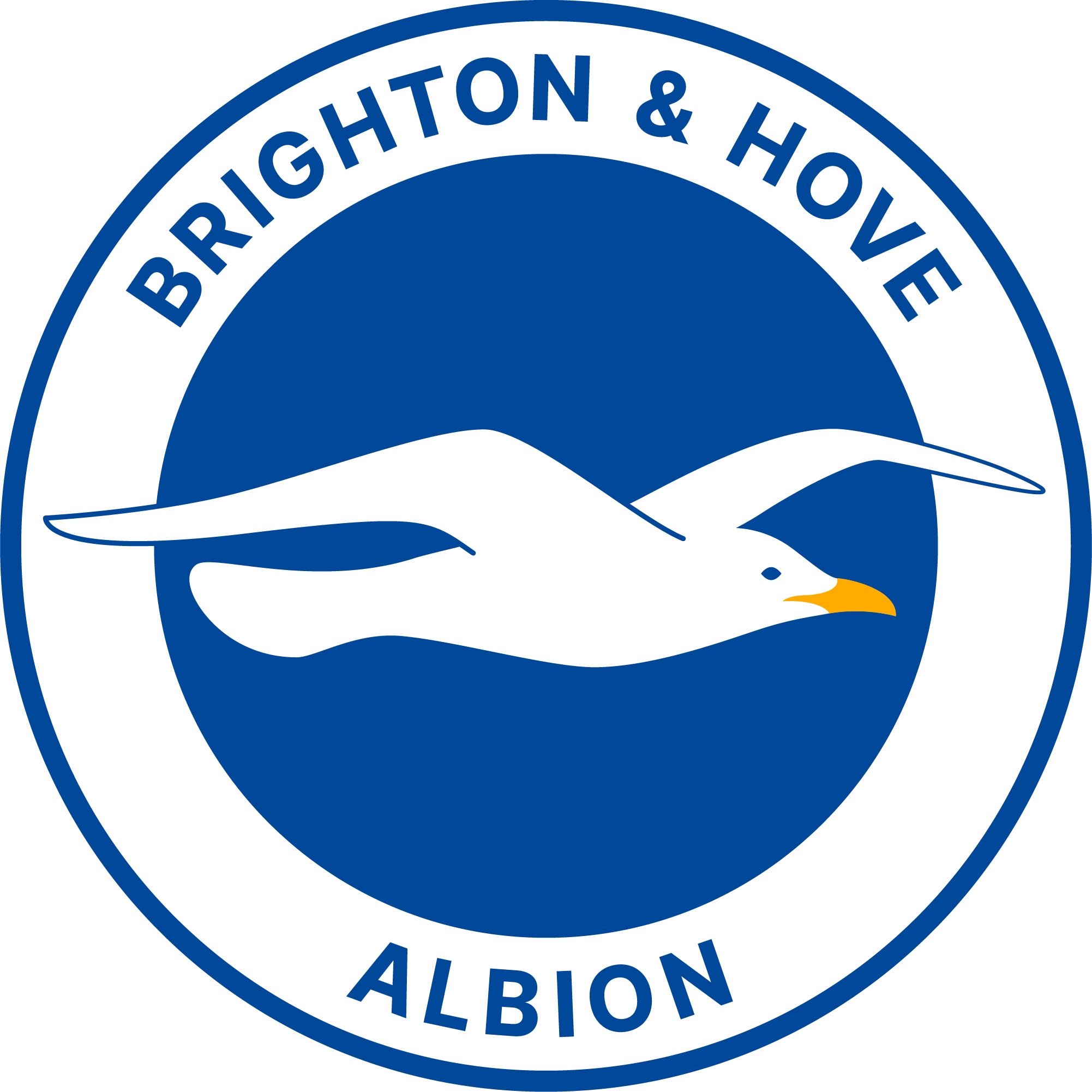 AI AT BRIGHTON & HOVE ALBION FC
